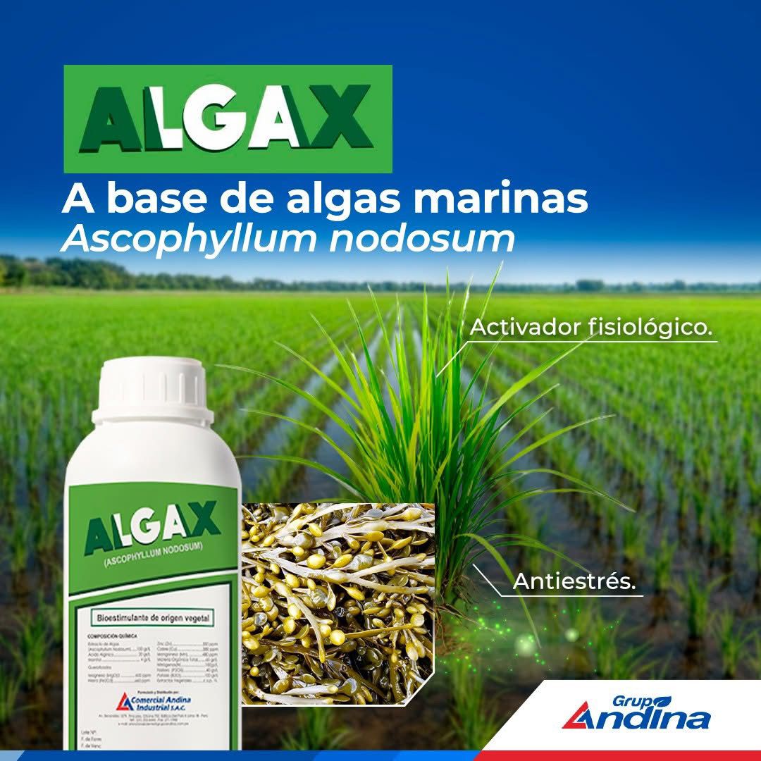 ALGAX Bioestimulante