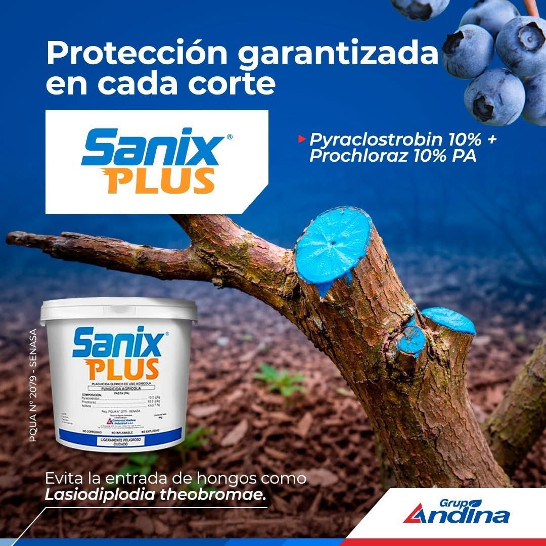 Sanix PLUS Fungicida