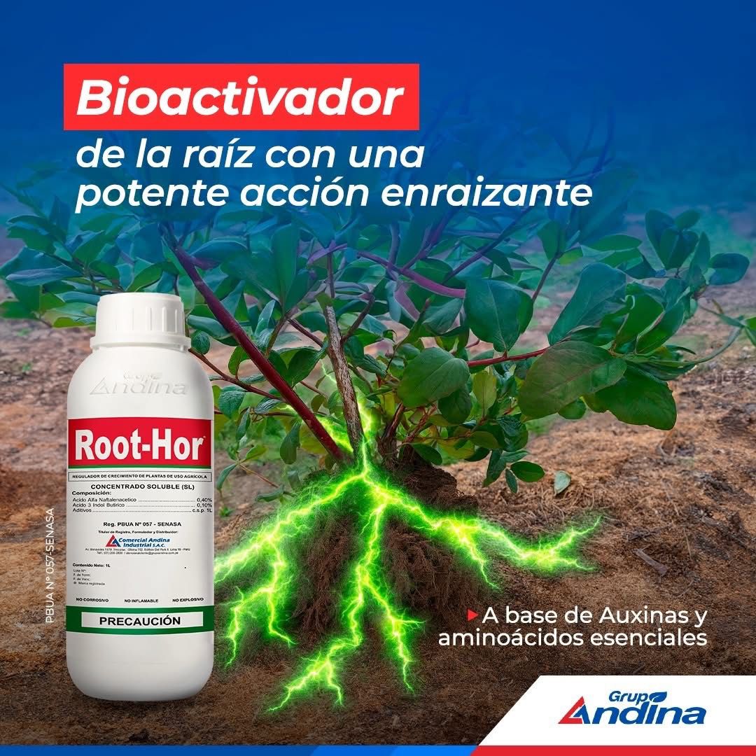 Root-Hor Enraizante