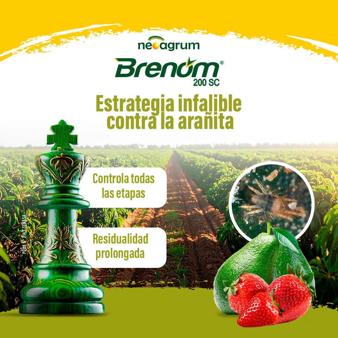 Ingeniero agrónomo evaluando cultivo