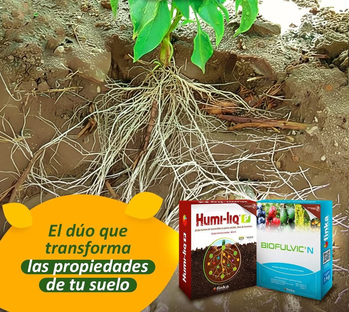 Alga600 Bioestimulante